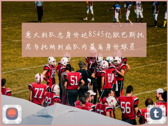 意大利队总身价达8545亿欧巴斯托尼与托纳利成队内最高身价球员